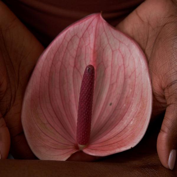 Is my Vulva Normal?