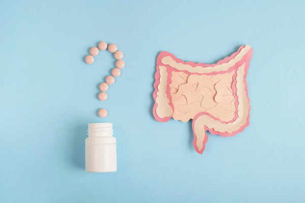 The Best Time To Take Prebiotics and Why
