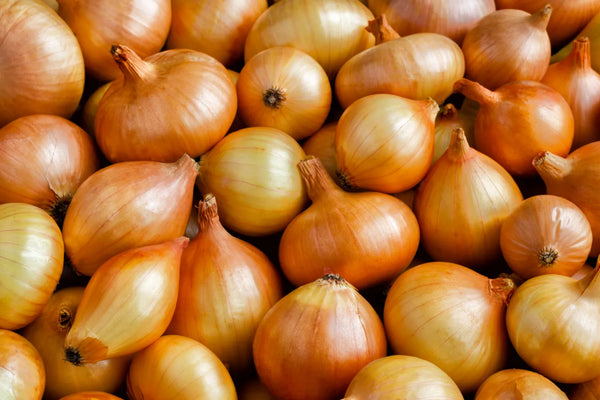 Why Do I Smell Like Onions? Solutions and Demystifying the Onion-Like Body Odor